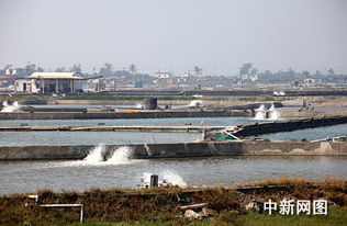臺灣屏東縣朝清水產(chǎn)養(yǎng)殖集團漁場掠影 探尋現(xiàn)代水產(chǎn)養(yǎng)殖的卓越典范